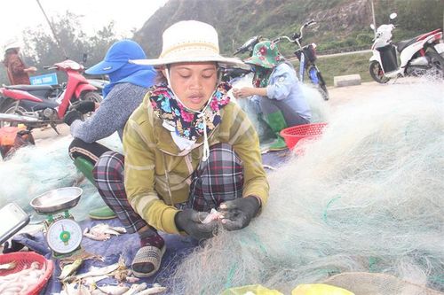 Ngư dân Hà Tĩnh trúng đậm cá khoai