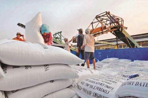 Philippines vẫn là thị trường xuất khẩu gạo số 1 của Việt Nam