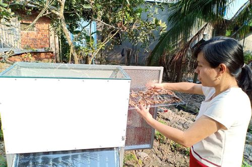 Cô giáo làng chế máy sấy nông sản bằng năng lượng mặt trời