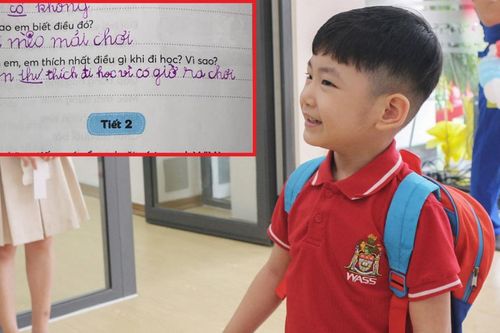 Được hỏi em thích điều gì khi đi học, cậu học sinh đưa ra đáp án khiến cô giáo ngã ngửa