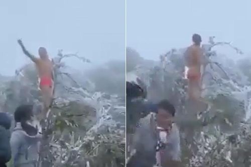 Clip: Giữa thời tiết lạnh giá, người đàn ông cởi trần hò hét trên đỉnh Mẫu Sơn khiến nhiều người bất ngờ
