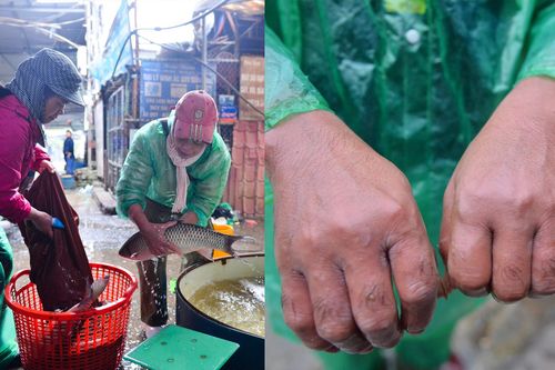 Người lao động tay trần bắt cá, khiêng đá lạnh giữa cái rét tê tái ở Hà Nội