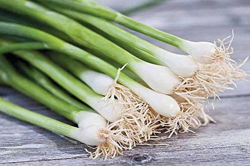 Hành- gia vị có nhiều công dụng trị bệnh