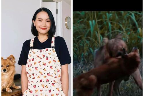 Tại sao YouTuber Giang Ơi lại bất ngờ lên tiếng chỉ trích gay gắt phim 'Cậu Vàng'?