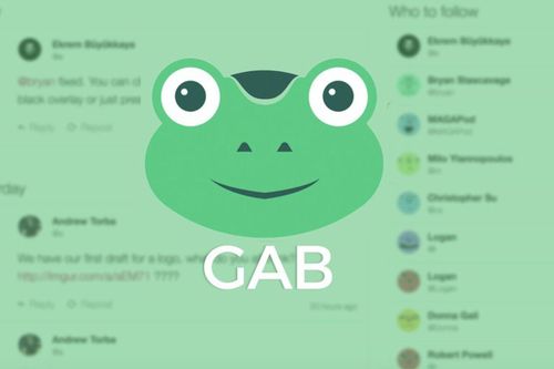 Website hưởng lợi sau khi ông Trump bị khóa Twitter