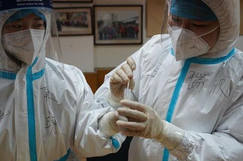 Nguồn gốc của virus tại ổ dịch Covid-19 ở Hà Bắc