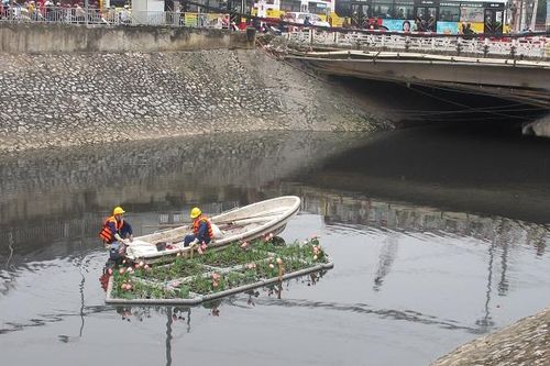 Hai nhiệm vụ cấp bách để hồi sinh sông Tô Lịch