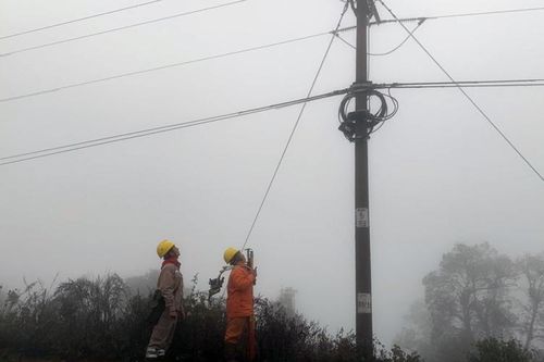 Gần 1.700 khách hàng ở Sơn La bị gián đoạn cung cấp điện do băng tuyết