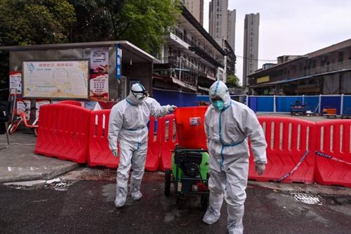 Một năm sau ca tử vong ở Vũ Hán, nguồn gốc virus Corona vẫn là một câu hỏi