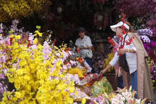 TPHCM: Hoa cảnh làm từ vải 'đổ bộ' xuống phố