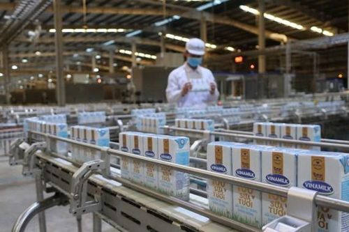 Thêm 2 đơn vị được cấp mã giao dịch xuất khẩu sữa sang Trung Quốc