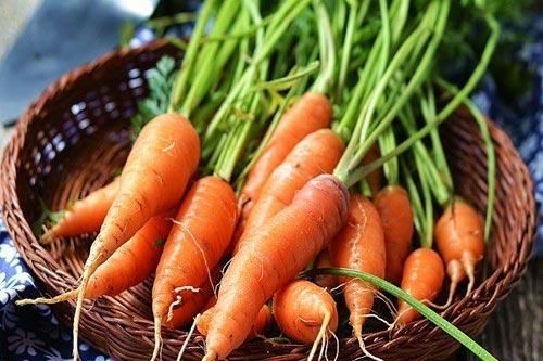 Thực phẩm tốt cho hệ tiêu hóa nhưng nhiều người không biết