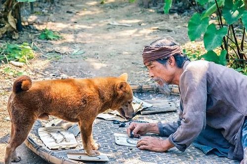 Làng Vũ Đại không còn Chí Phèo