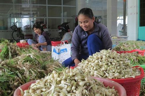 Giá thực phẩm hôm nay 11/1: Giá củ kiệu, củ hành tăng mạnh