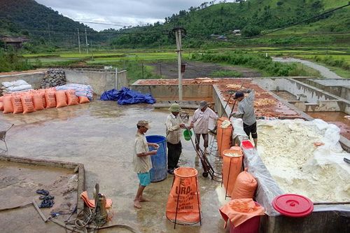 Lấy lợi ích xã viên làm mục tiêu phát triển