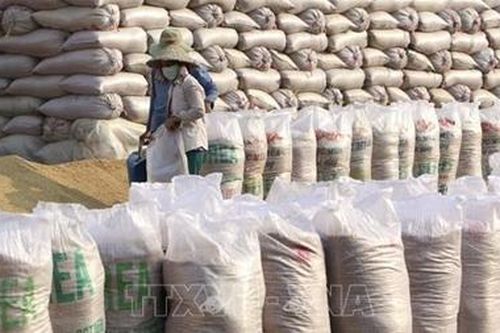 Xuất cấp 132.100 tấn gạo dự trữ hỗ trợ nhân dân trong năm 2020