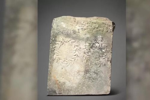 Phiến đá tưởng đồ vất đi trong vườn nhà hóa ra là cổ vật siêu quý 1.800 năm tuổi
