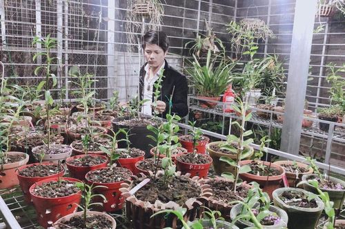 Chàng trai 8X Nam Nguyễn 'dành cả thanh xuân' để yêu hoa lan