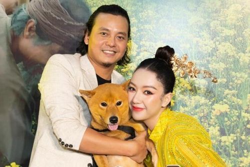 Ai đã giết phim 'Cậu Vàng'?