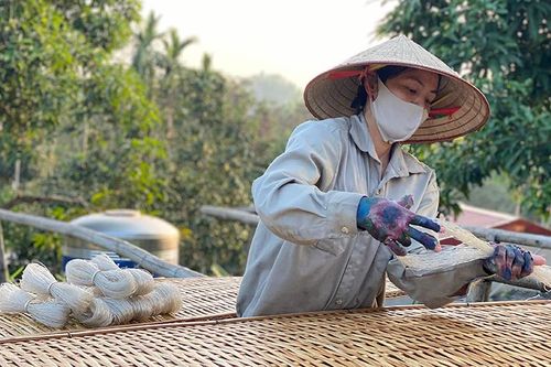 Hiệu quả từ Chương trình OCOP ở các tỉnh miền bắc