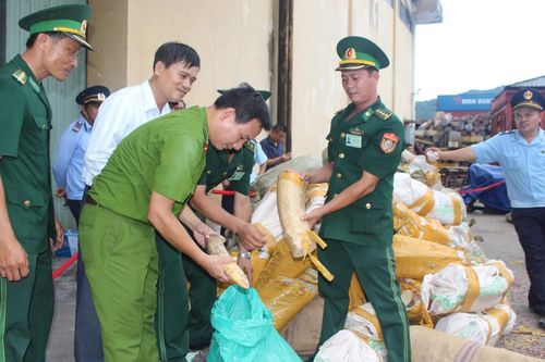 Giữ vững ANTT khu vực cửa khẩu cảng