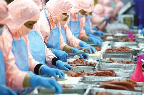 Nhiều 'cửa sáng' cho ngành thủy sản Việt Nam xuất khẩu sang các thị trường lớn