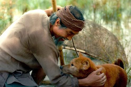 Cậu Vàng: Đi quá xa kiệt tác của Nam Cao