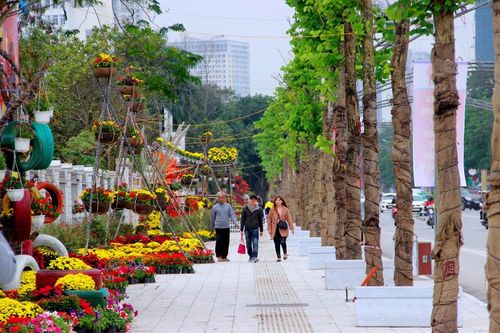 TP. Vinh sẽ chạy thử phố đi bộ trước Tết Âm lịch 2021