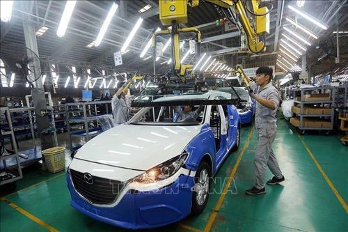 Năm 2020, thị trường ô tô tăng trưởng âm 8%