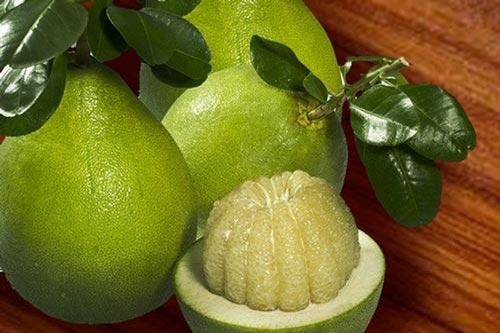 Thực phẩm giúp bạn thải độc tố trong gan hiệu quả