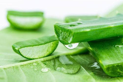 Những mẹo làm đẹp tuyệt vời từ nha đam