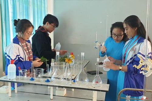 Bảo vệ môi trường bằng vỏ hạt điều và lá cây dã quỳ