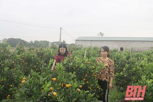 Đảng bộ huyện Đông Sơn đưa nghị quyết vào cuộc sống