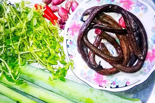 Lươn om rau ngổ