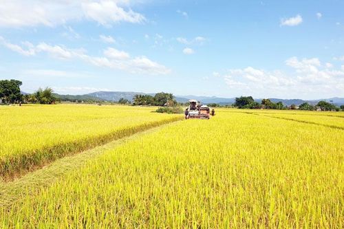 Công nhận huyện Đạ Tẻh đạt chuẩn nông thôn mới