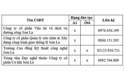 Cảnh giác với lời mời chào bán GPLX giả, bao đỗ thi cấp GPLX