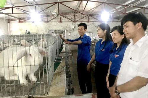 Thanh niên Sơn Dương làm theo lời Bác