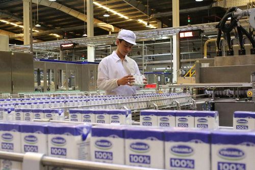Bảy đơn vị được xuất khẩu sữa vào thị trường Trung Quốc