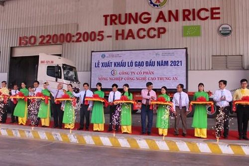 Lô gạo xuất khẩu đầu năm 2021 đạt 1,6 nghìn tấn