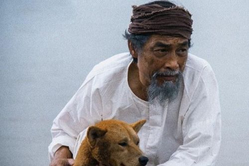 Vì sao 'Cậu Vàng' khiến người xem ngao ngán?