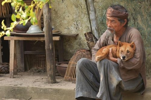 Phim chuyển thể từ văn học kinh điển: Làm sao cho khéo?