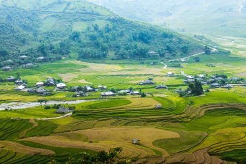 Chính sách đặc thù đối với đơn vị hành chính cấp huyện, xã sau khi sáp nhập
