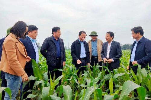 Hà Tĩnh khẩn trương đưa nghị quyết vào cuộc sống