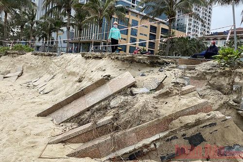 Đà Nẵng tìm giải pháp nhằm hạn chế xói lở bờ biển