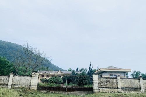Trung tâm dạy nghề khuyết tật tiền tỷ bỏ hoang