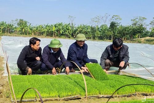Lãnh đạo tỉnh kiểm tra sản xuất nông nghiệp tại các địa phương