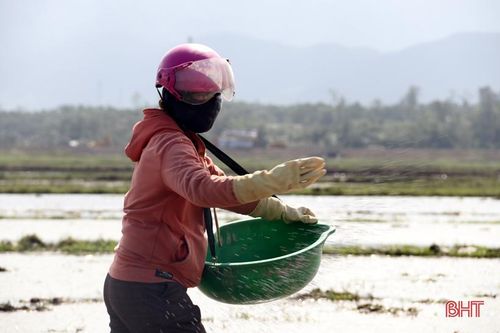 Nắng lên, nông dân Hà Tĩnh tất bật xuống đồng triển khai vụ xuân