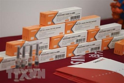 Sinovac có thể tăng công suất vắcxin CoronaVac hàng năm lên 1 tỷ liều