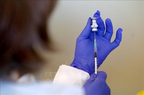 Indonesia khởi động chiến dịch tiêm chủng vaccine ngừa COVID-19 toàn quốc