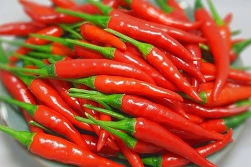 4 thực phẩm cực tốt cho phổi không phải ai cũng biết